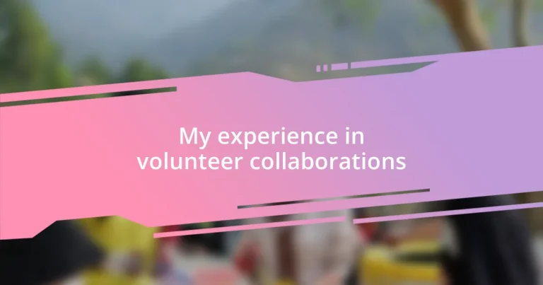 My experience in volunteer collaborations