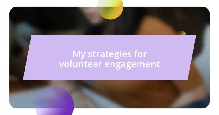 My strategies for volunteer engagement