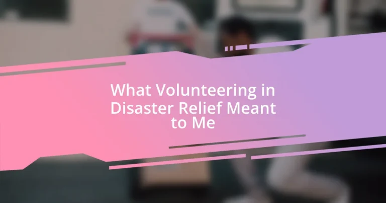 What Volunteering in Disaster Relief Meant to Me